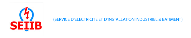 Seiib logo